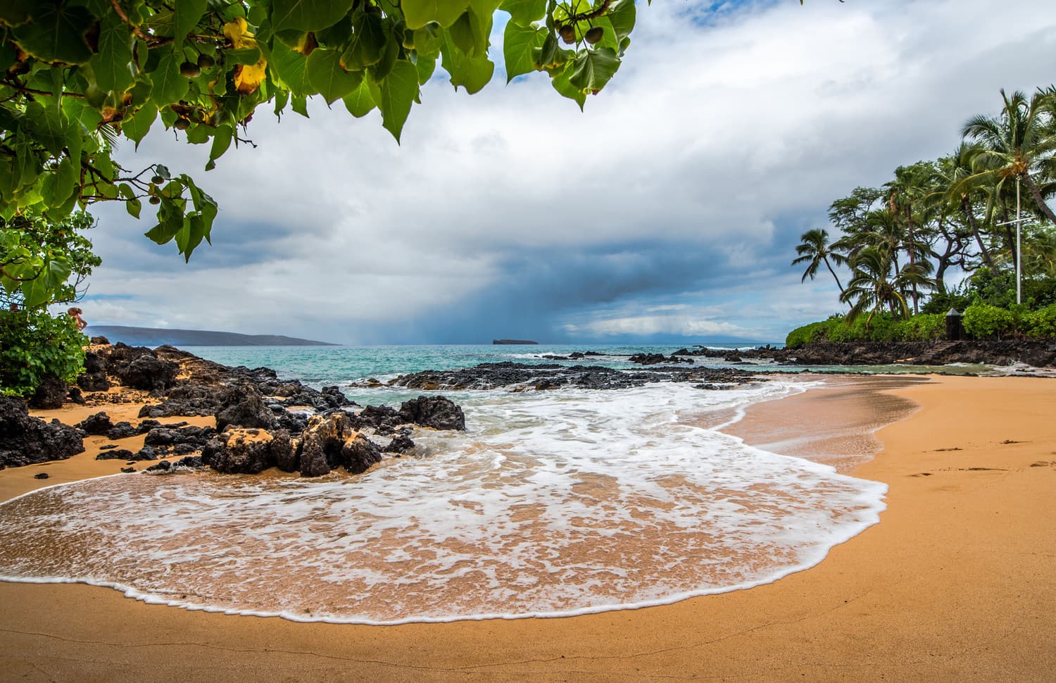 Peaceful Hawaiian shoreline